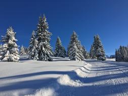 Mountain Snow Nature In