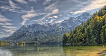 trees on a cliff in a lake