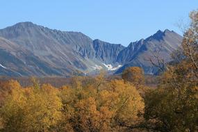 autumn forest in the mountains with blue sky