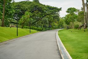 Road Park Peace