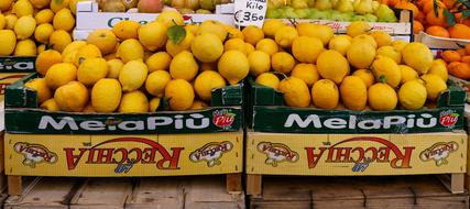 lemon fruits in a box