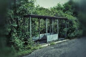 railroad stop by the trees