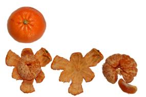 sweet peeled tangerine