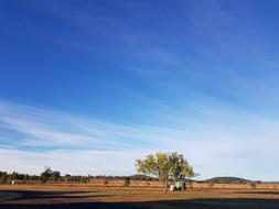 Fragrant Light Buddha Temple