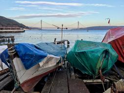boats packed up on the pier