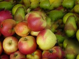 Apple and Pear Fruit