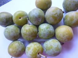 green raw plums