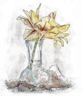 flower vase tulip bouquet