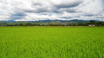 grass with clouds beautiful landscape