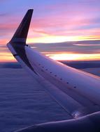 Plane Wing at flight