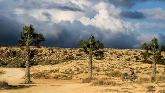 a girl on a bike rides along the road near a palm tree in Cyprus