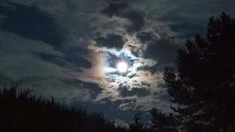 bright moon in a blue sky