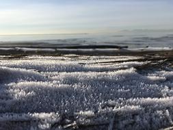 Frost Beach Sky
