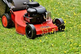Lawn Mower Mow Mowing