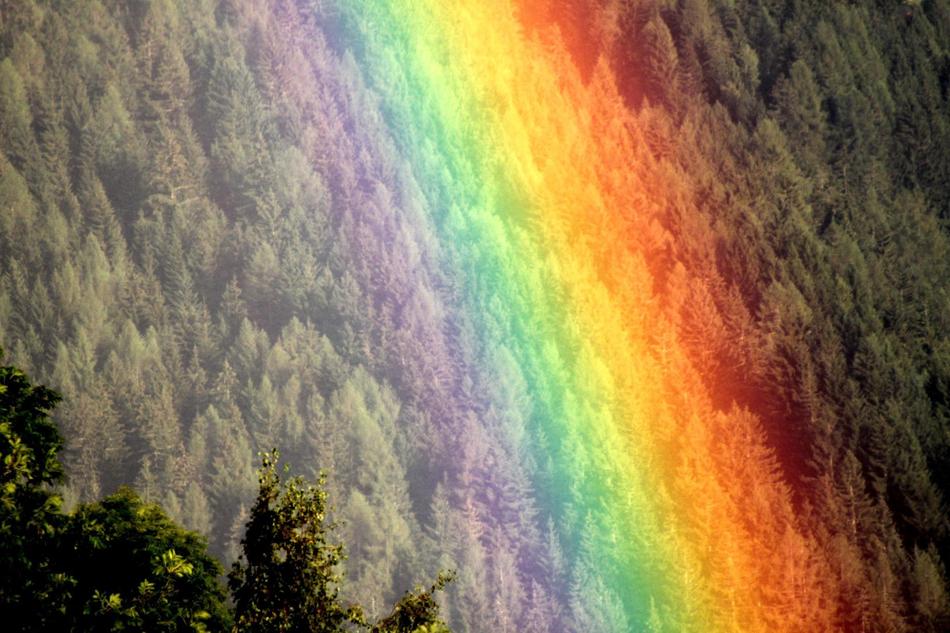 Rainbow Mood Natural Spectacle
