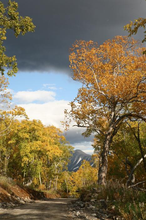 autumn magnificent landscape is beautiful