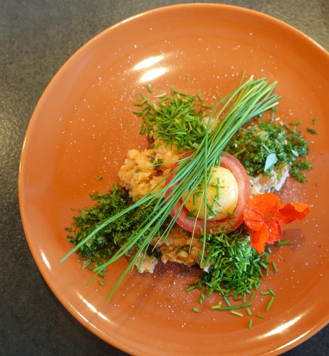 salmon with herbs