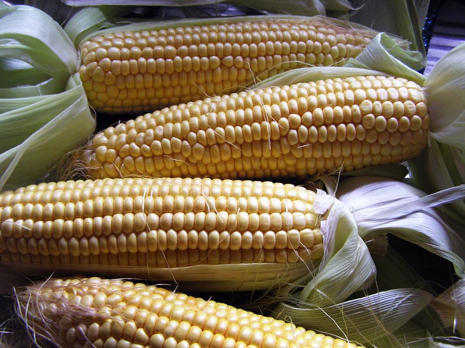 dried sweet corn