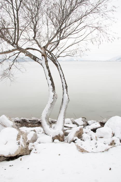 Snow Landscape Nature