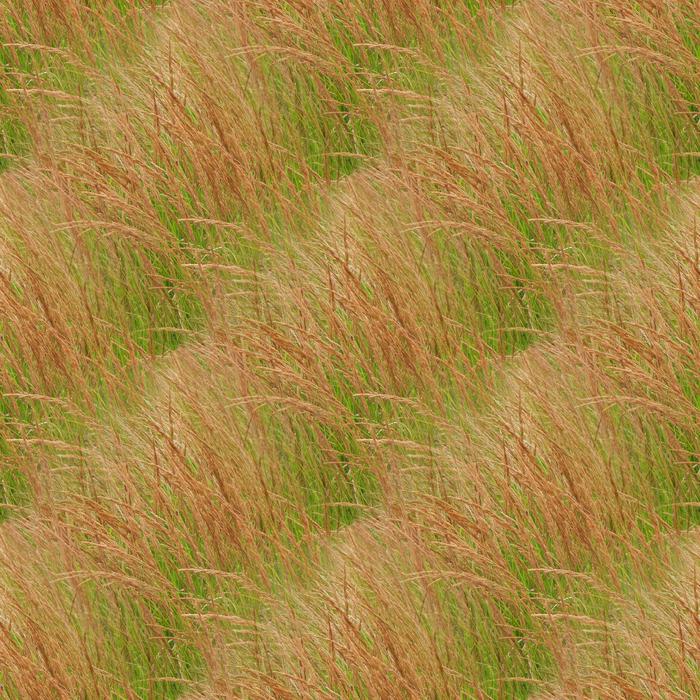 Texture Plants Herb