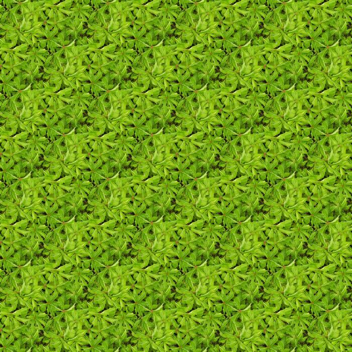 green plant texture