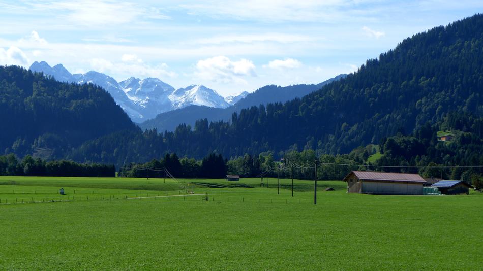 Allgäu Mountain Panorama Meadow
