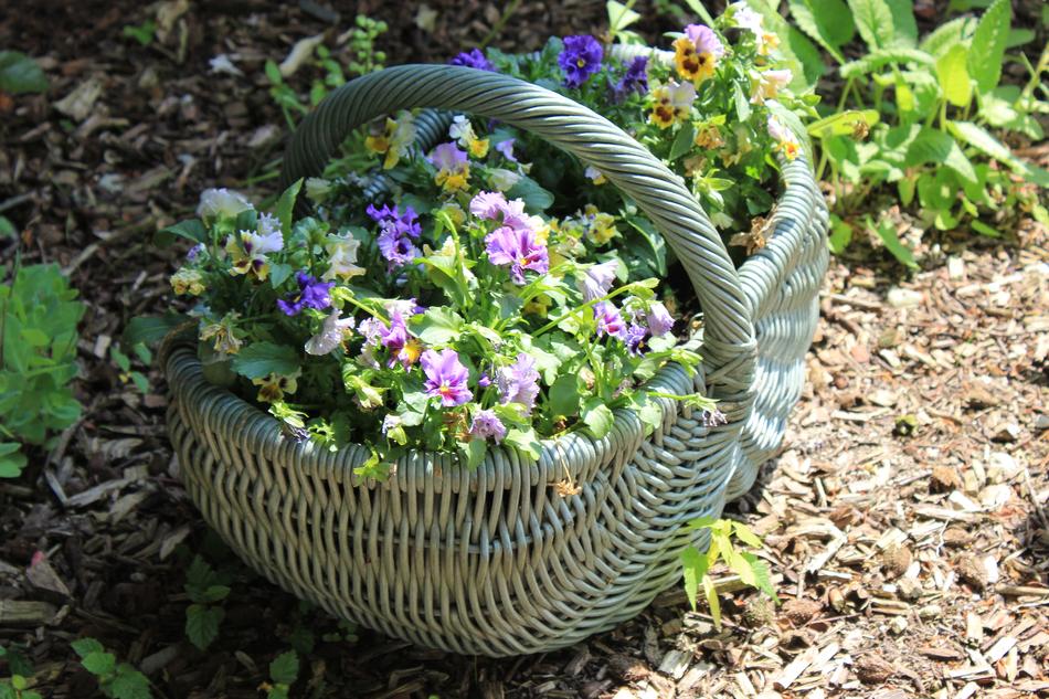 basket with a bunch of flowers