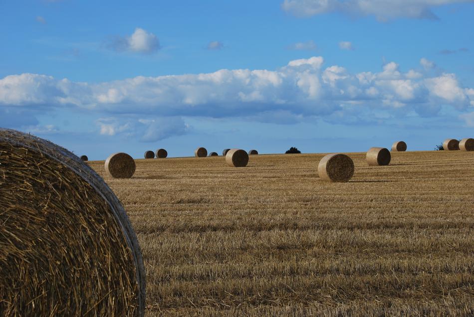 Nature Harvest Agriculture