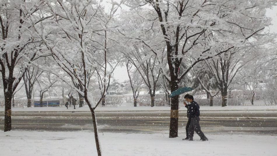 Snow Road