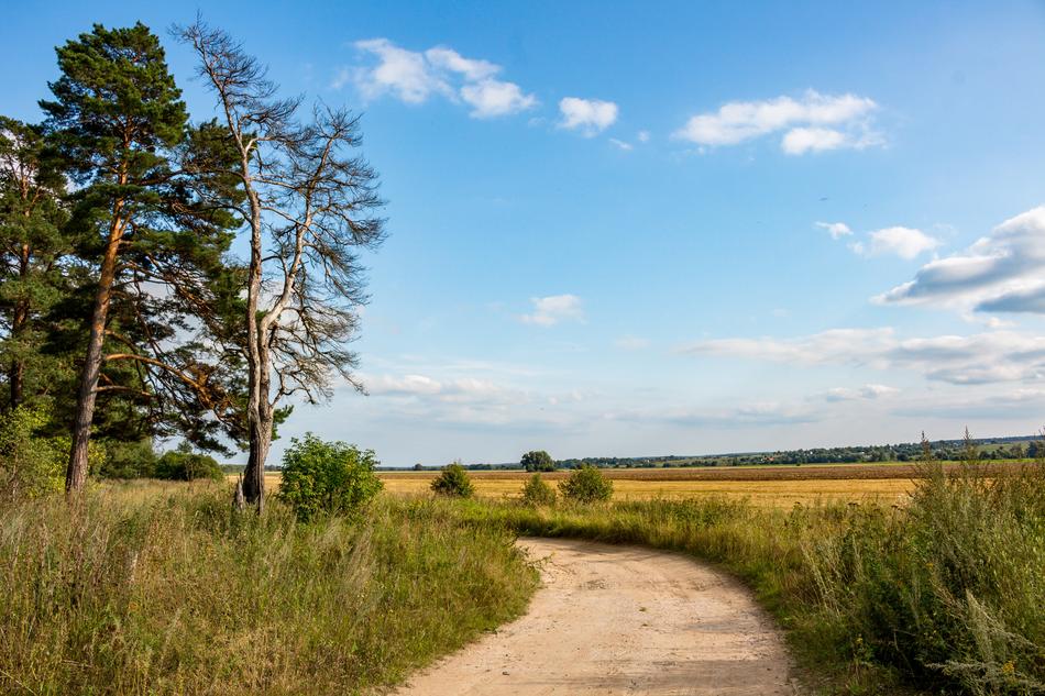 Twist Rural Road