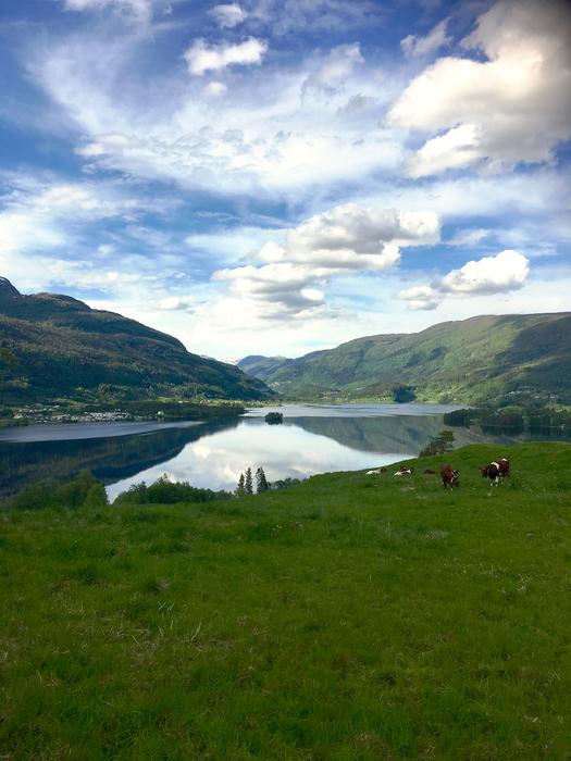 a beautiful green meadow with clouds and a lake