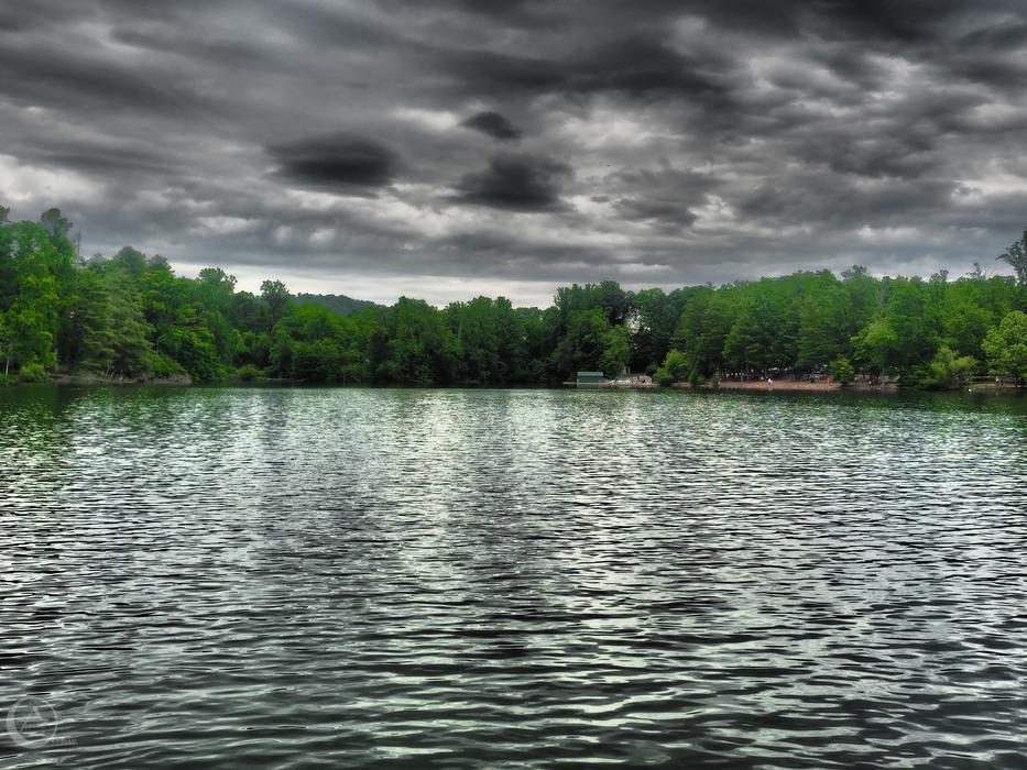 huge lake with green trees landscape