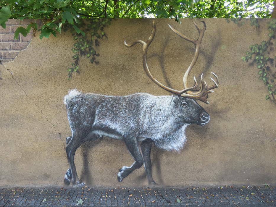 Moose Wall Art