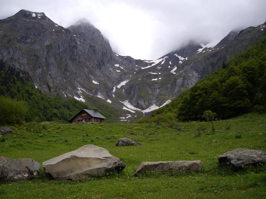 big mountains in snow and green meadow