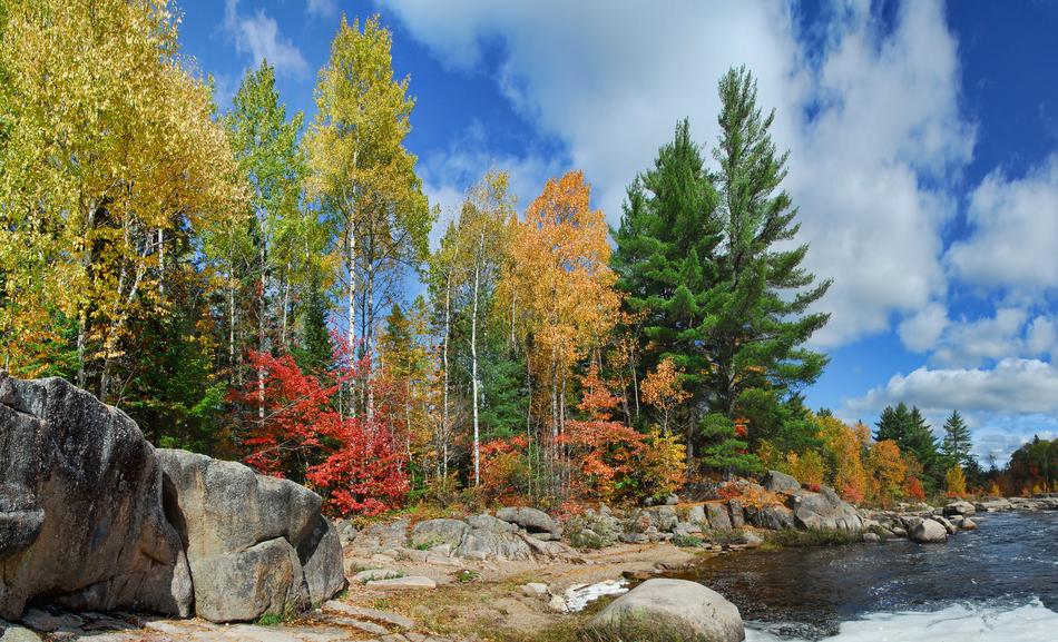 Autumn Fall Colors