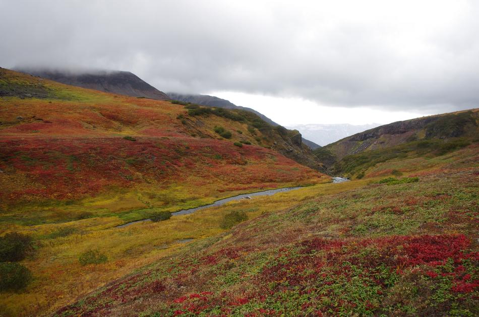 Mountain Tundra Mountains Ranges