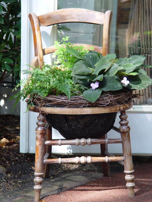 flowers in a pot in a chair