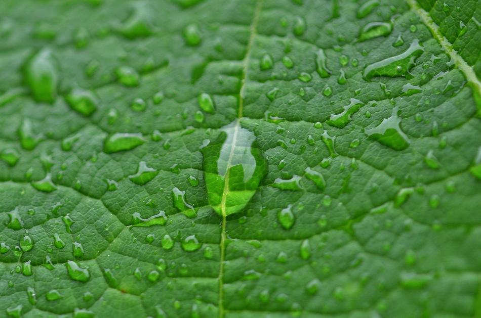 raindrops on a piece of background paper