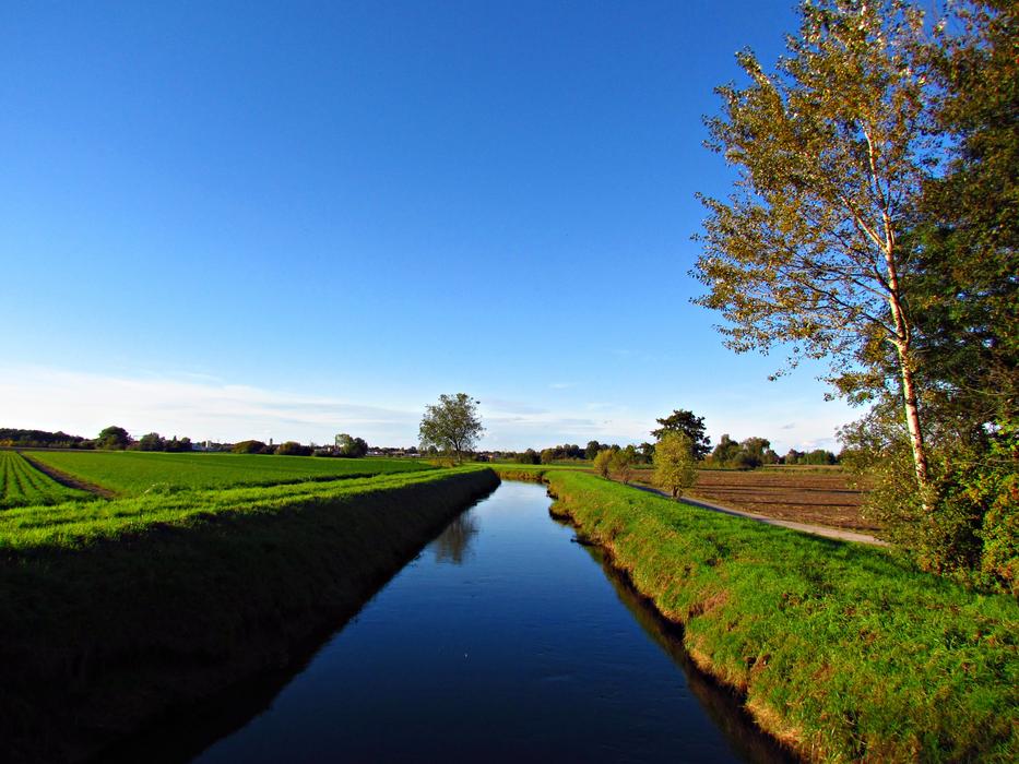 The Brook River Field