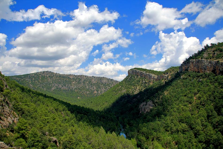 green trees in the mountains in the blue sky with clouds