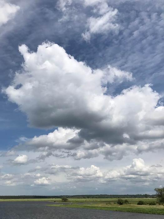 clear weather in the sky