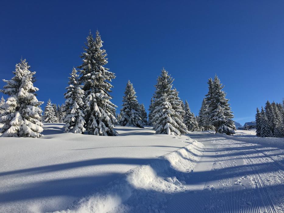 Mountain Snow Nature In