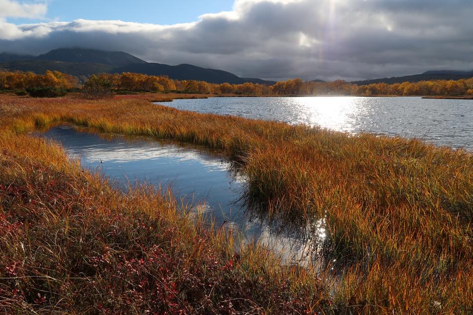 autumn lake foliage is beautiful