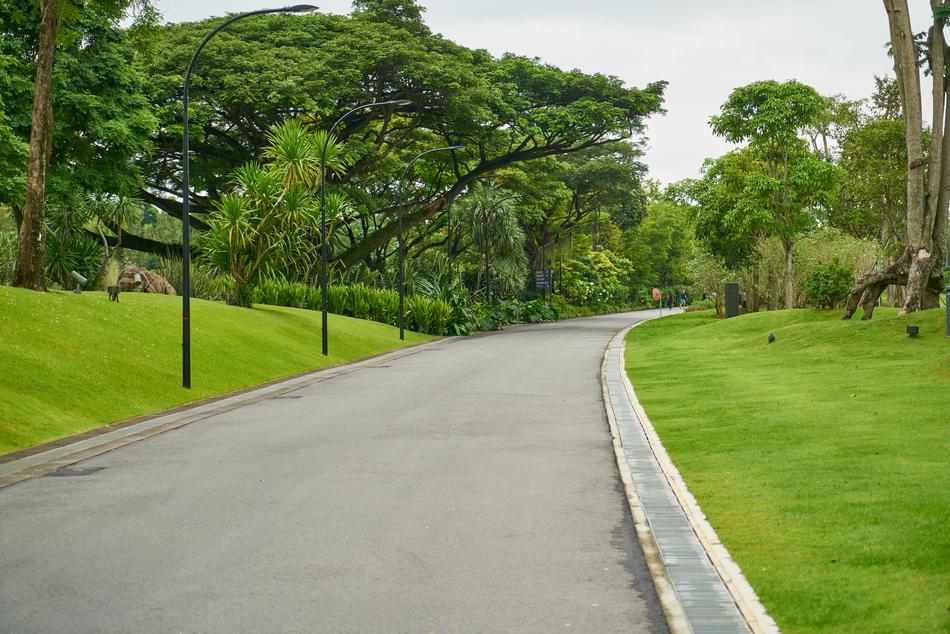 Road Park Peace
