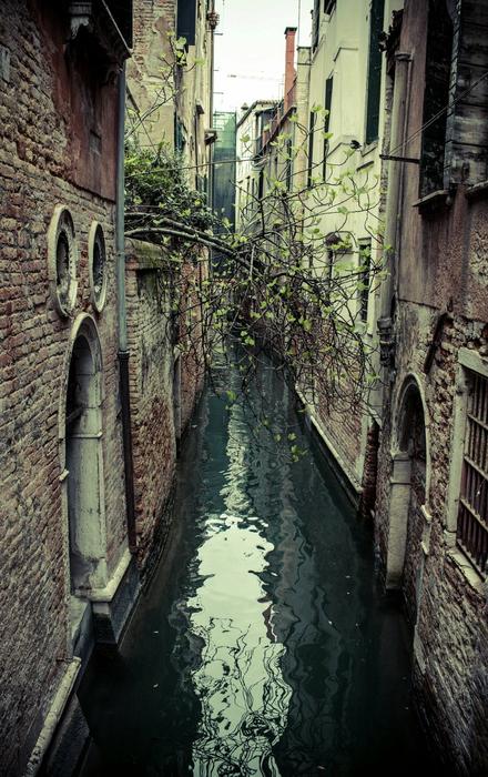 Venice Shooting Iphone6S
