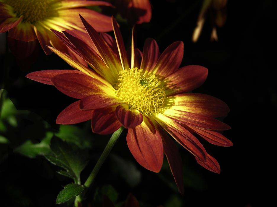 lots of unusual colors in the dark