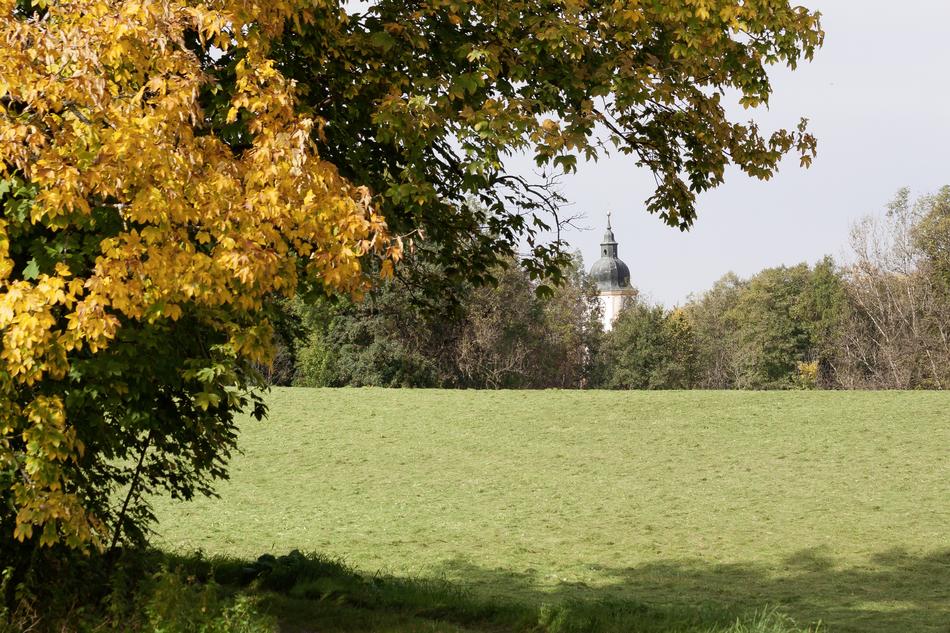 Mowed Autumn Meadow