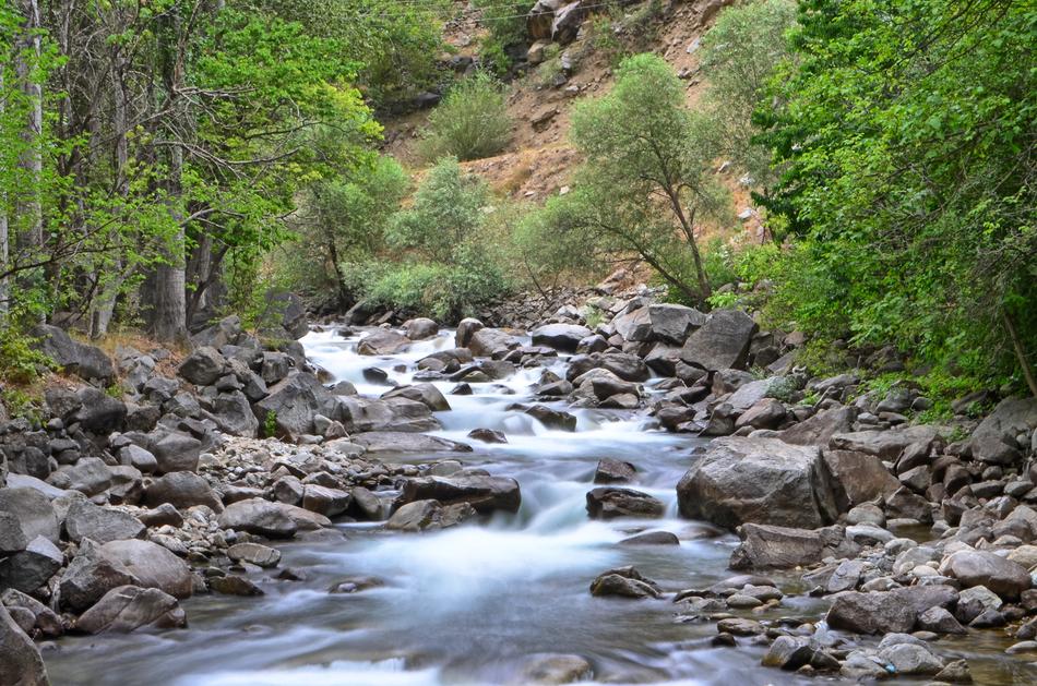 stone river with green trees