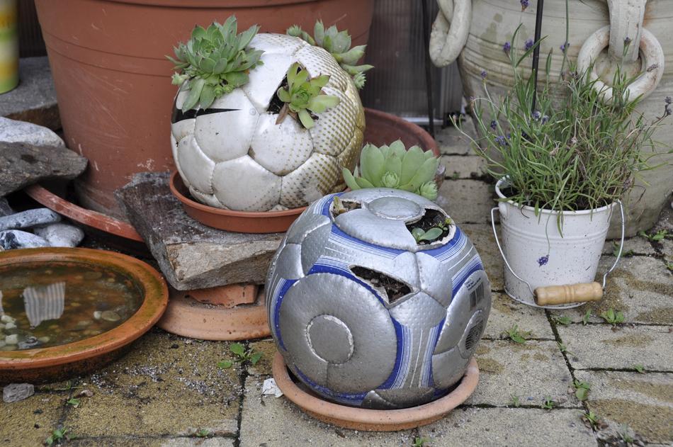 Diy Football Plant