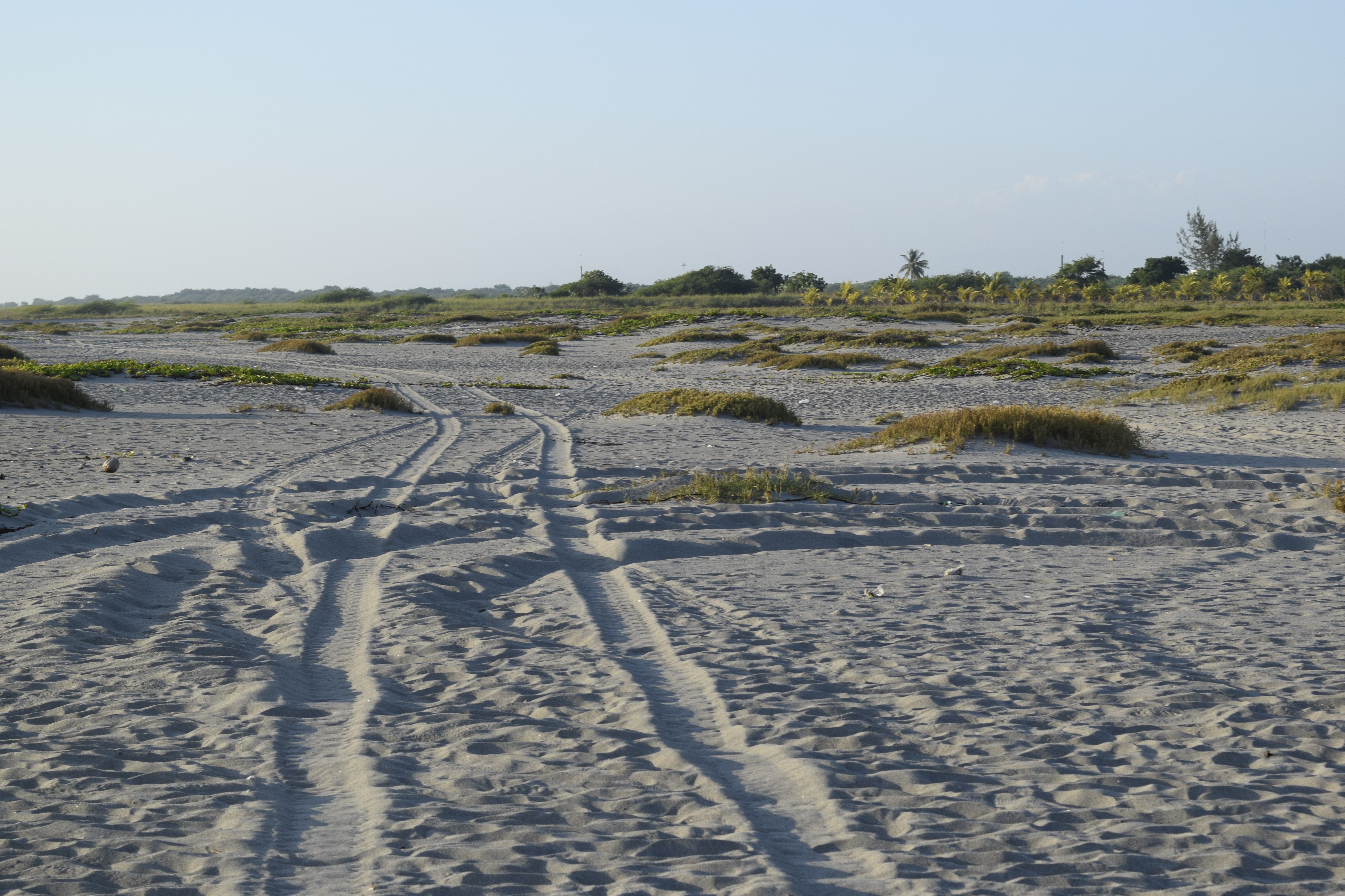 Beach Sand Path free image download